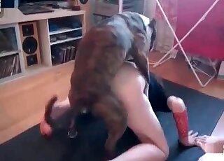 Trained dog finds the juicy hole of a crazy chick perfect for fucking
