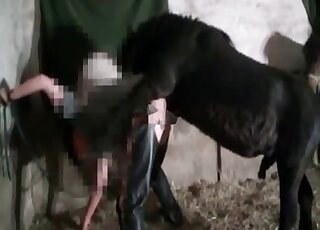 Pony fucks a dirty-minded pervert in the barn in a retro zoo porn video