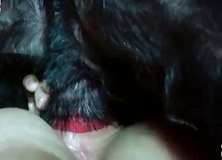 Sex-starved sweetie loves the presence of dogs’ peckers in her snatch