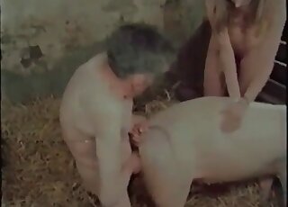 Pervert jerks off and fucks a pig in a wild bestiality porn scene