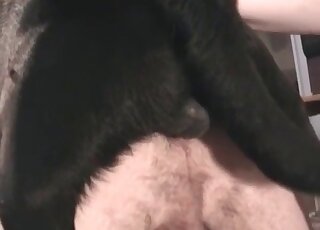 Dog treats sexual passion of a slutty wife in a zoo porn video