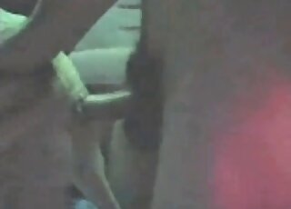 Nasty guy explores tight hole of his dog with his thick hard cock