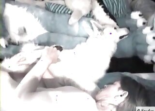 Zoo sex addicted dude gives a fuck to his dog in a hot XXX video
