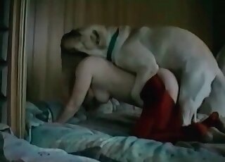 性急的狗迫不及待地想狠狠地操一個性感女人的屁眼。