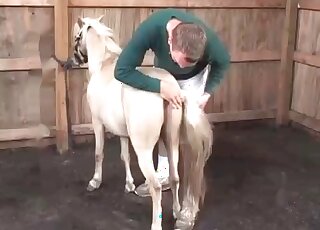 Perverted zoophile strokes and licks a horse before an intercourse