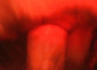 Closeup footage of a nasty zoophile fucking deep hole of an animal