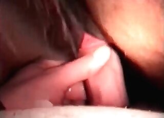 近距離拍攝的動物園色情場景，一個怪人瘋狂地與一匹馬交配