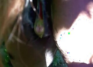 對著馬進行深喉式性交會讓思想齲齒的男人體驗到性高潮。