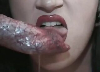 Mature slut gives a blowjob to her canine after bouncing on its cock