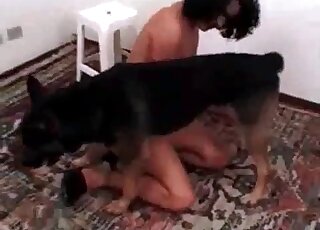 Aroused shepherd dog stuffs its cock inside wet cunt of a curly brunette
