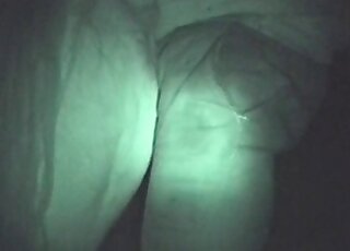 Bestiality sex addicted dude comes to fuck a horse and does it well