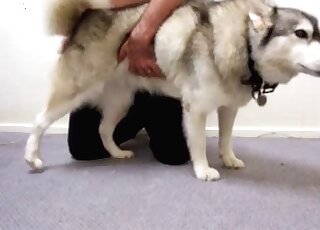 Horny pervert calls up his dog to explore its hole with his fingers