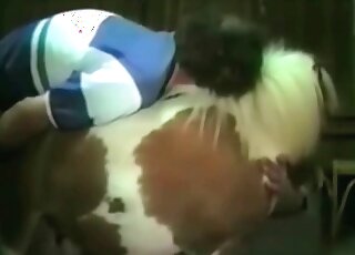 Zoo sex obsessed zoophile comes to fuck a pony and to get orgasm