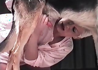 Mature slut shows her passion to dog’s sex and sucks canine’s dick