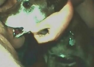 Awesome man with a hard cock fucks black beast in free zoo porn